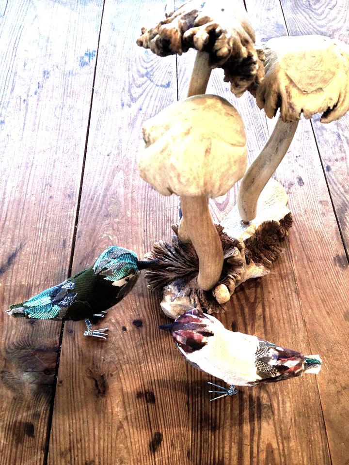 11128078_565497230257328_5635690051696571742_o